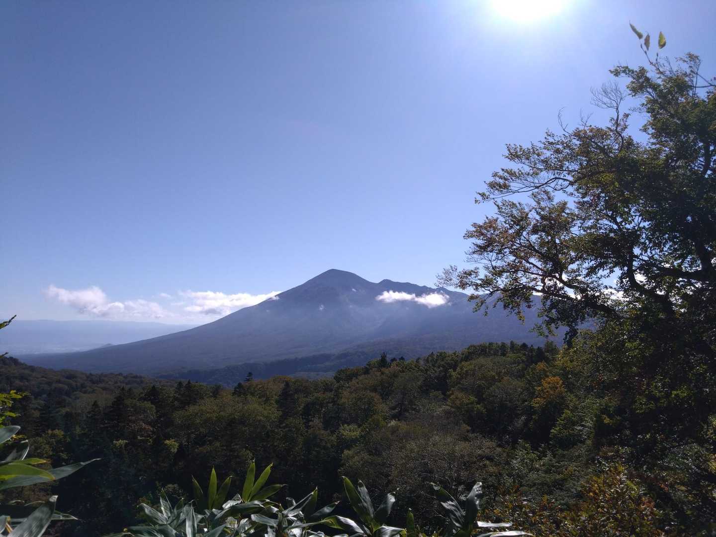 秋晴れ☀️