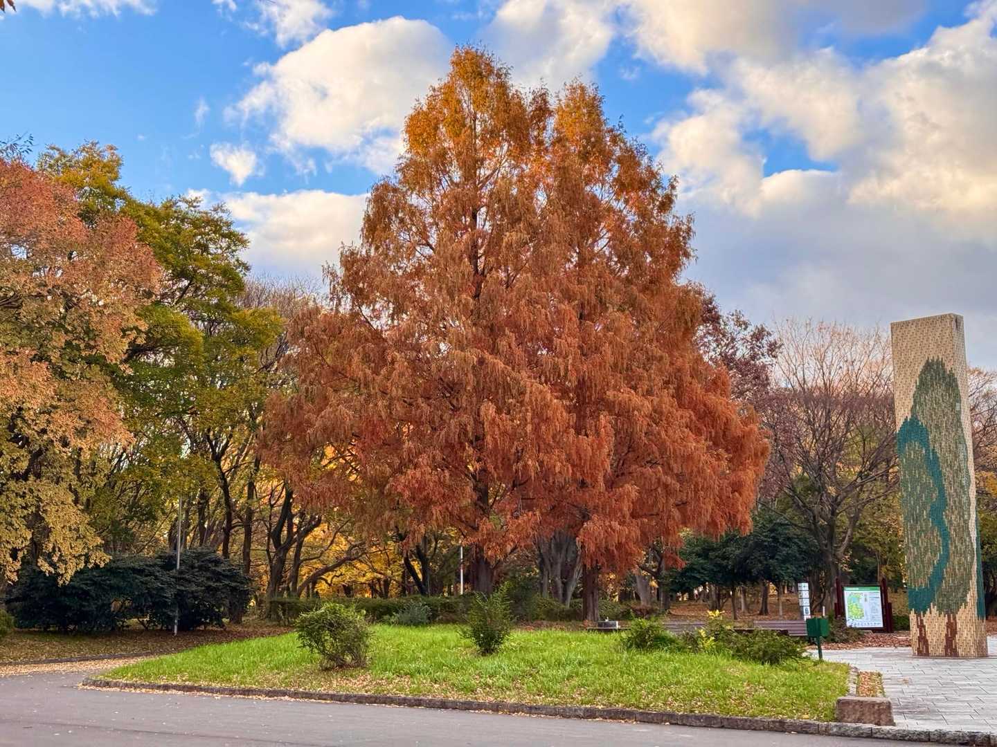 まだ秋を感じる一枚🍂
