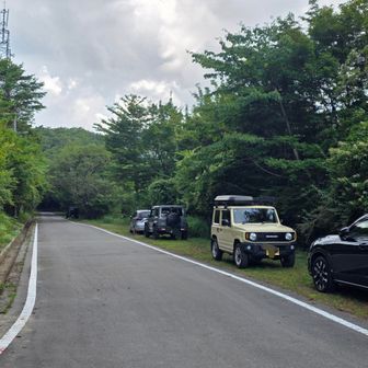 下山〜
土佐矢筈山⋯何度来てもよいお山ですね
今日は登山者多かったなー
おつかれ⛰️でした