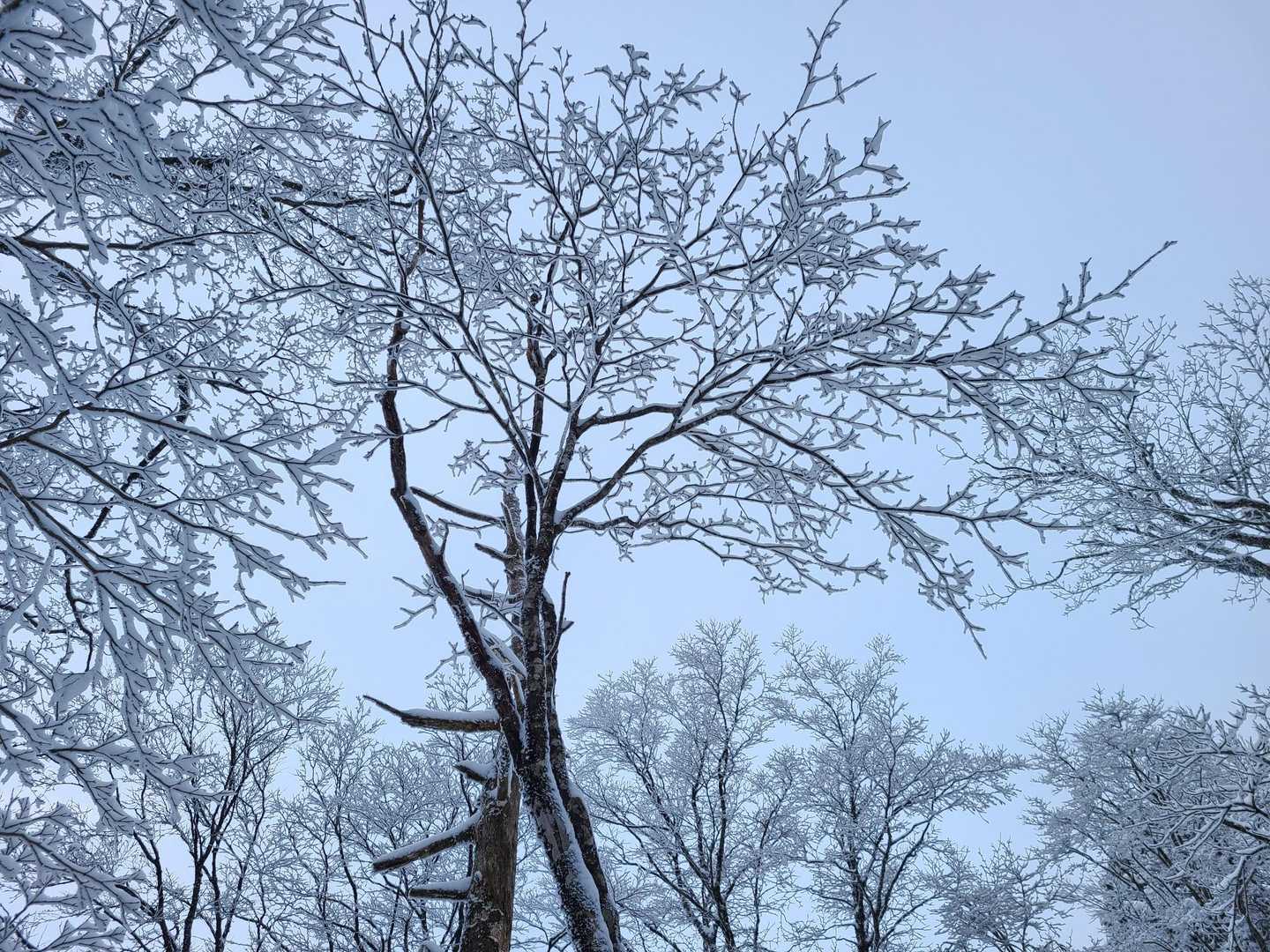 次の日の朝、日の出は見れず～