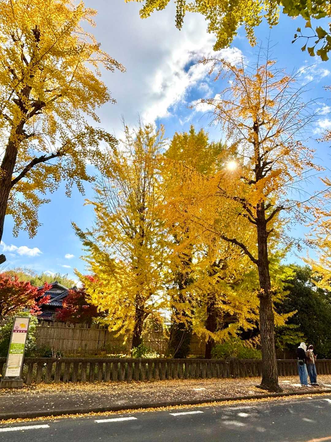 さあ、天理駅へ、
帰りまーす