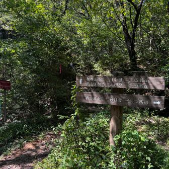 両見山からはなるべく登りがないルートを選んで帰りました。