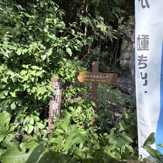 はじかみコース

はじかみ＝生姜