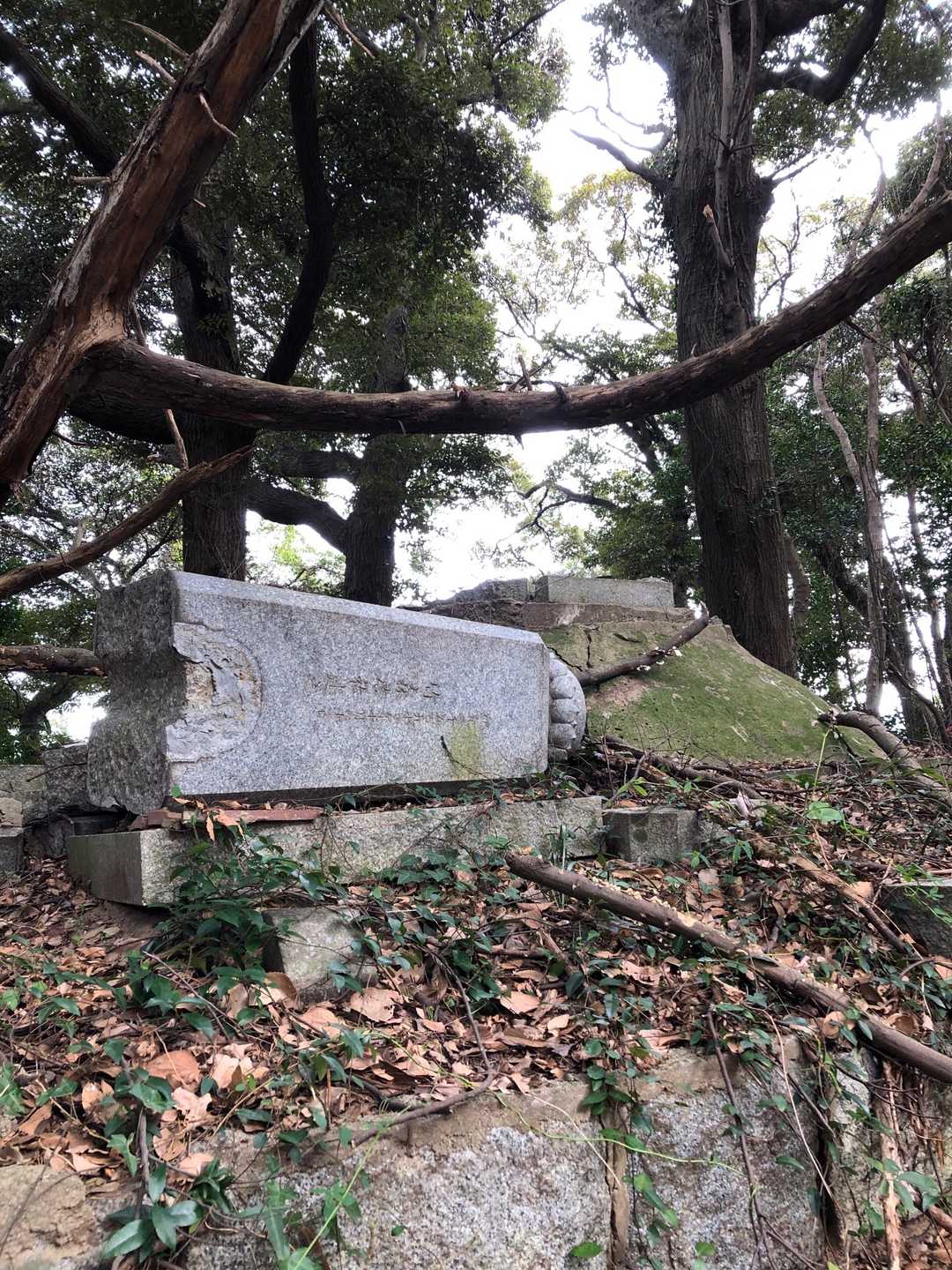 鳥見山山頂です⛰
石碑がぶっ倒れてました😅