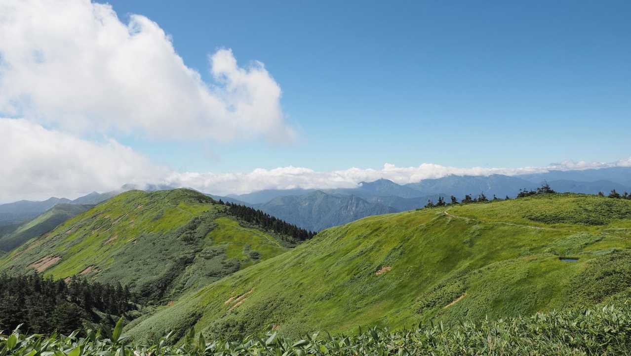巻機山、夏空の夫婦登山 の写真 10