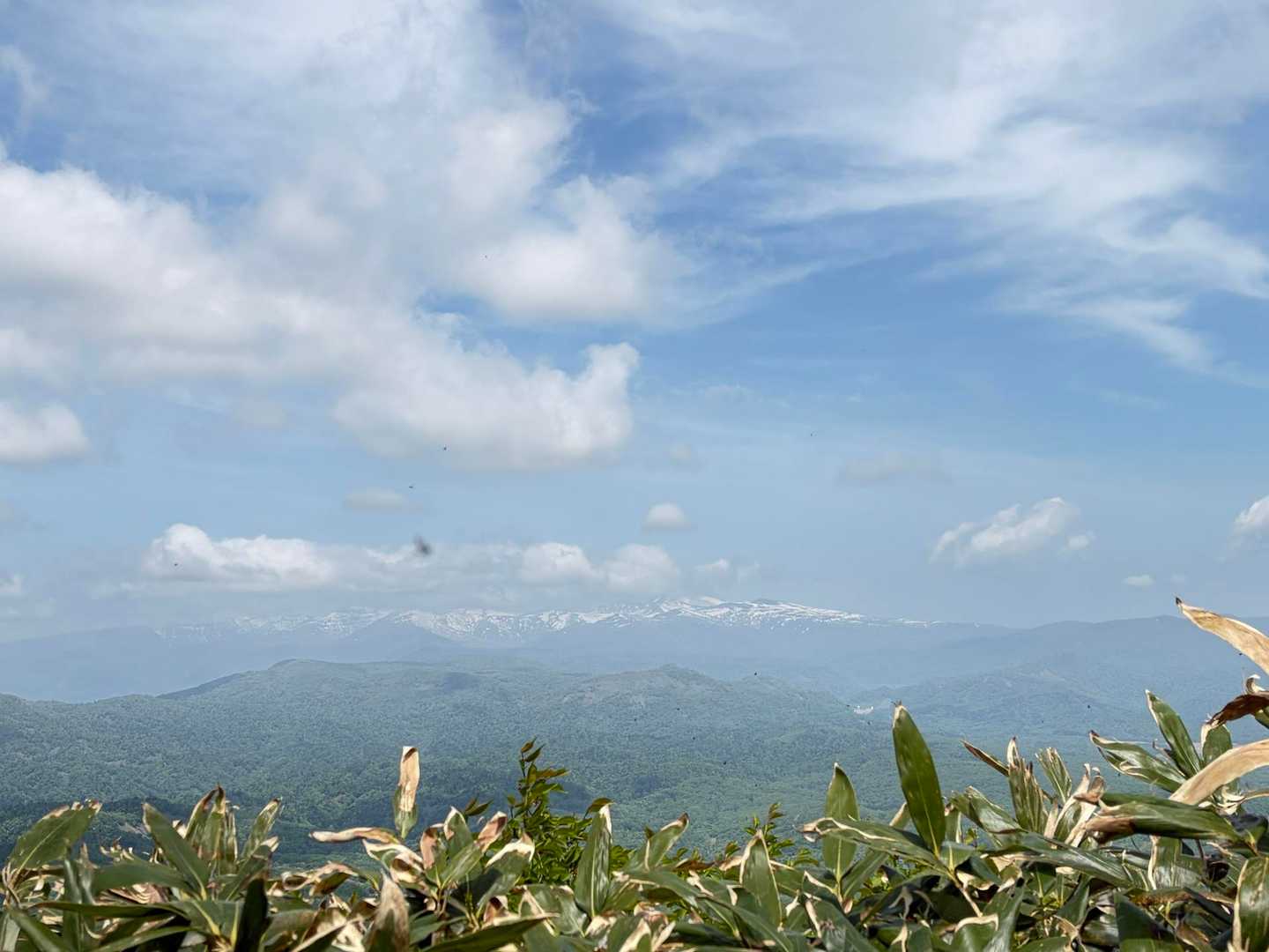 Aコース登山口-神居尻山-開拓台-Cコース登山口 縦走コースの写真