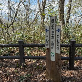 氾濫原へ向かいましょう♫