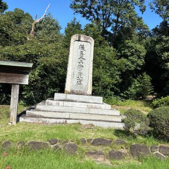 ここが山頂