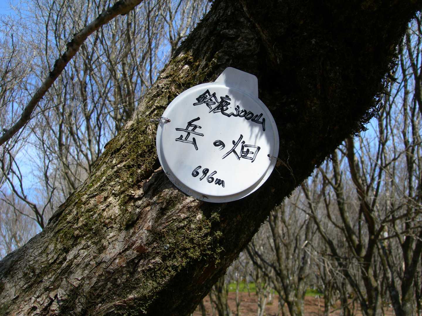 岳の畑-鍋尻山 往復コースの写真