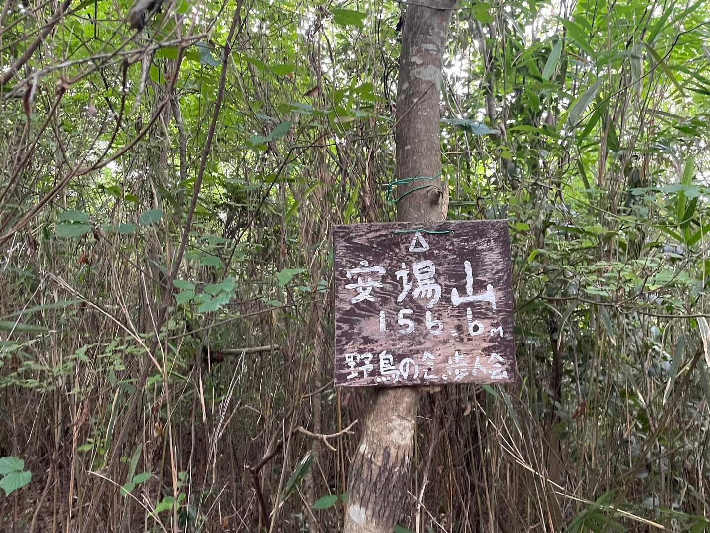 ここで梅雨☔️突入😆