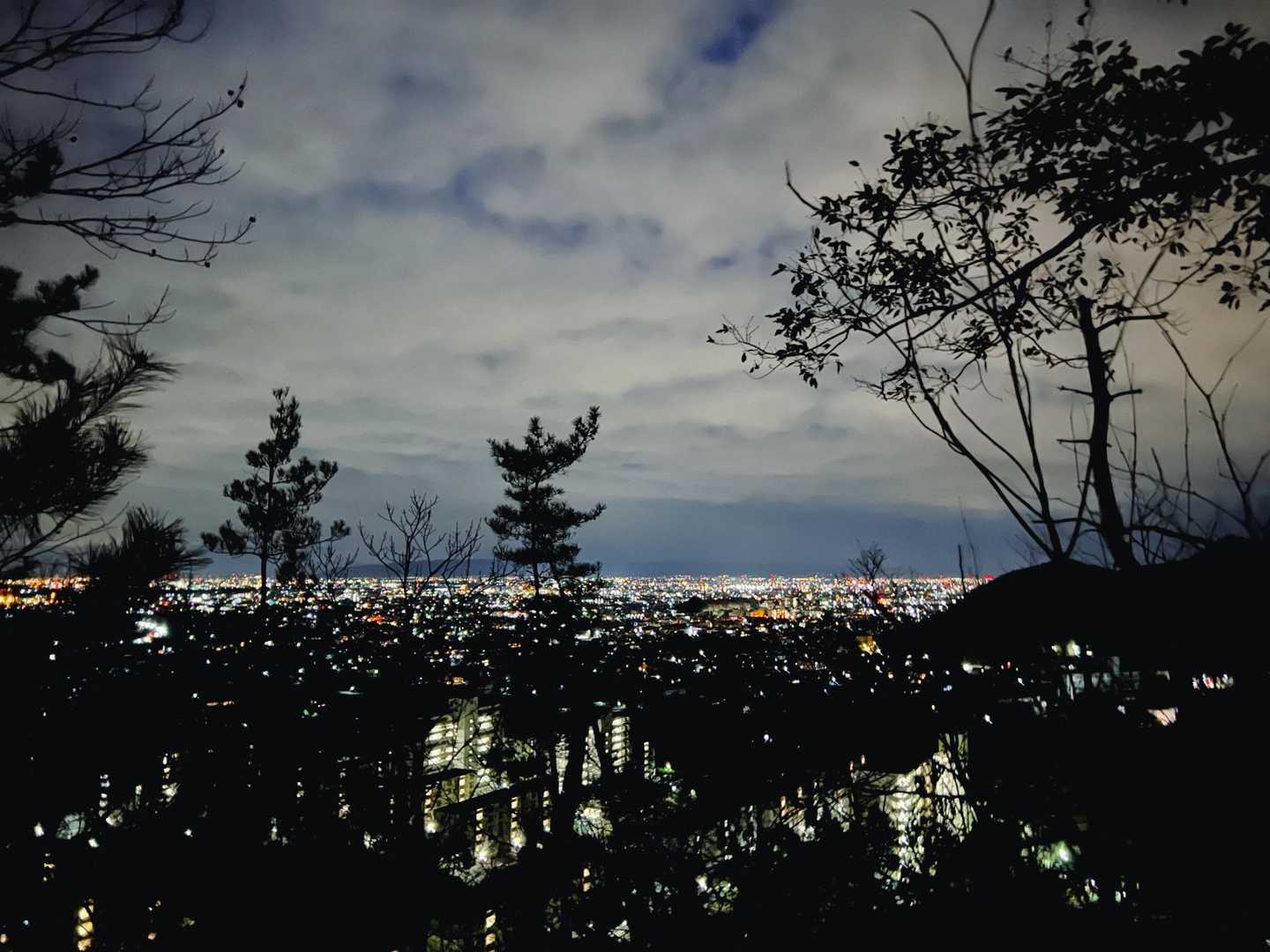 少し登っただけだけどきれいな夜景眺められた✨