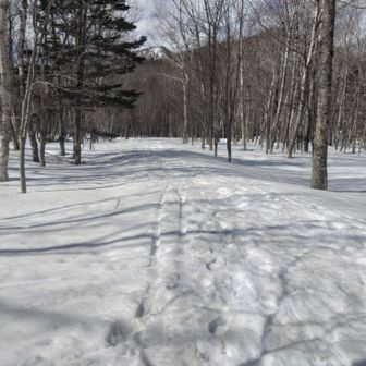 出発
イチャンもエニーも車は１台くらいでしたが、漁は満員御礼🚗