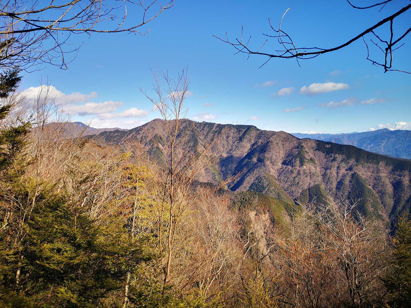 大札山くっきり
林道もよく見えます