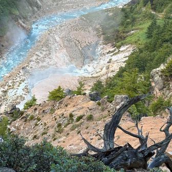 いきなりの急登です。
下には天然記念物の噴湯丘