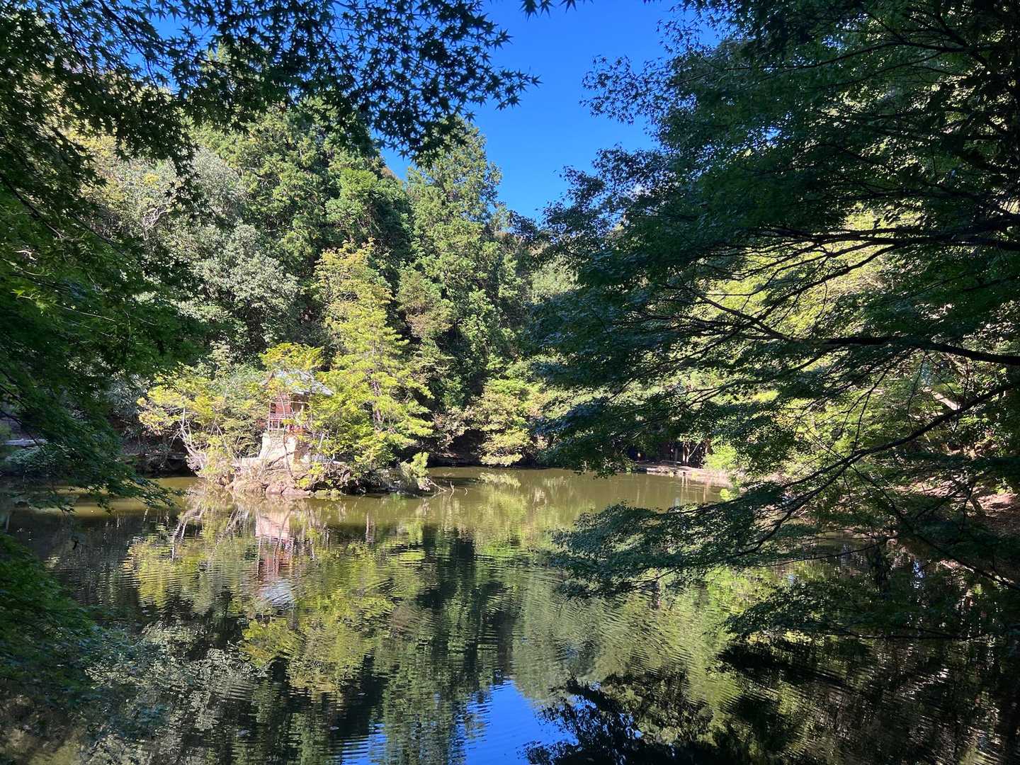 福王寺は素敵な場所がたくさんありました♬.*ﾟ