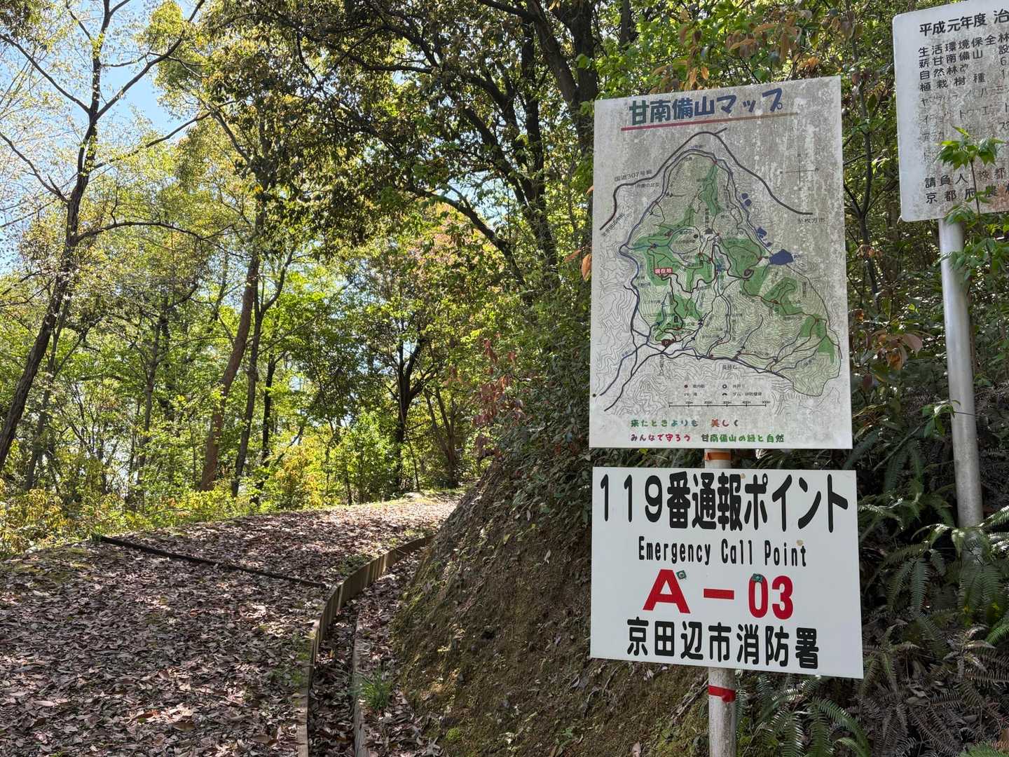 一旦真っ直ぐ進んだのですが、やはり戻ってここ左🫲に行きました。

👩どちらからでも行けそう