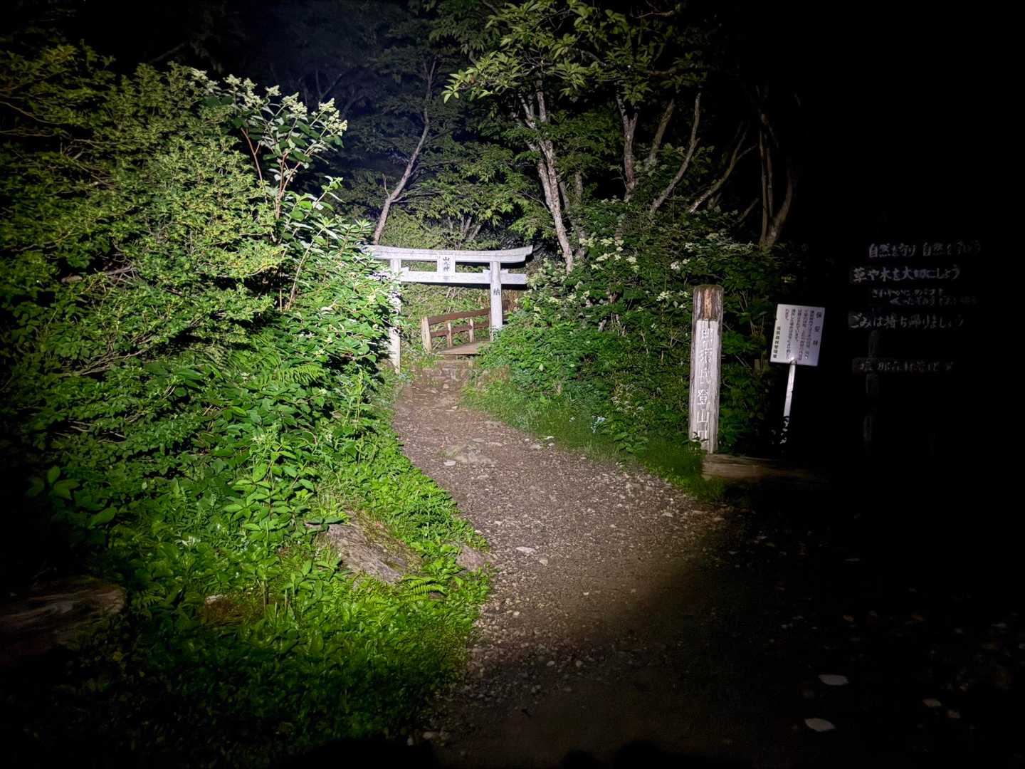 いつもの鳥居⛩️
今日は一番乗りかな🤔
この後すぐ後続の健脚若者に抜かされたが…🤣