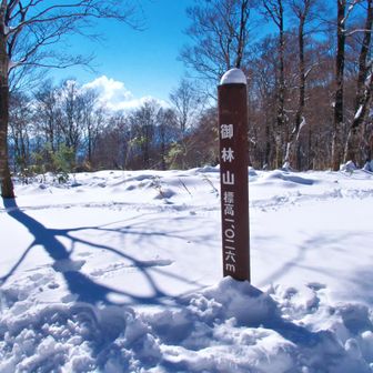 結局ここまで来た
ランチタイムをして折り返し
