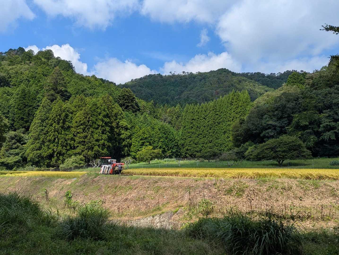 無事に下りて来ました🥾

長閑な風景にほっこり😳