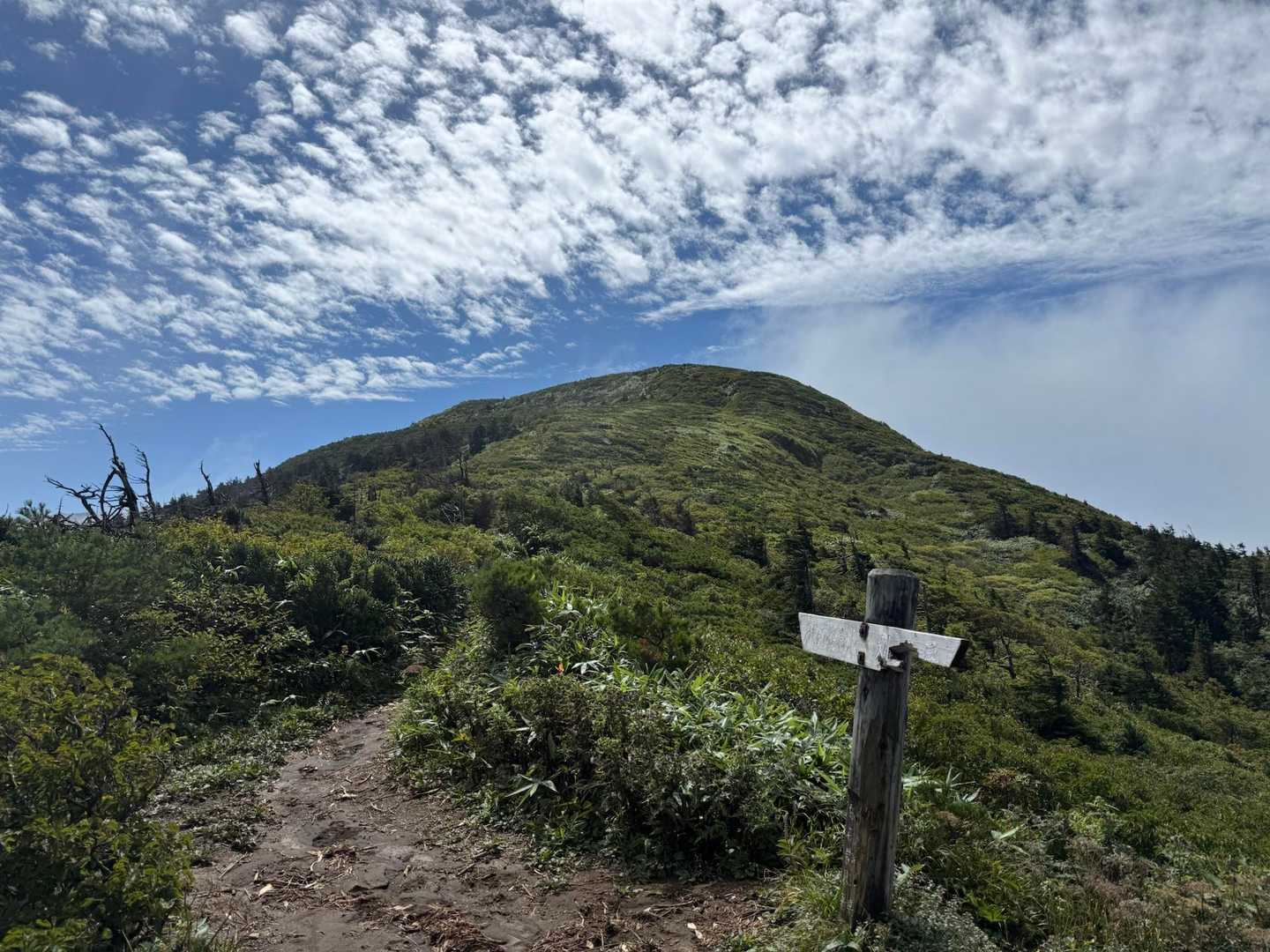 登山道は晴れている