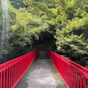 珍しく神津嶽コースから登ります