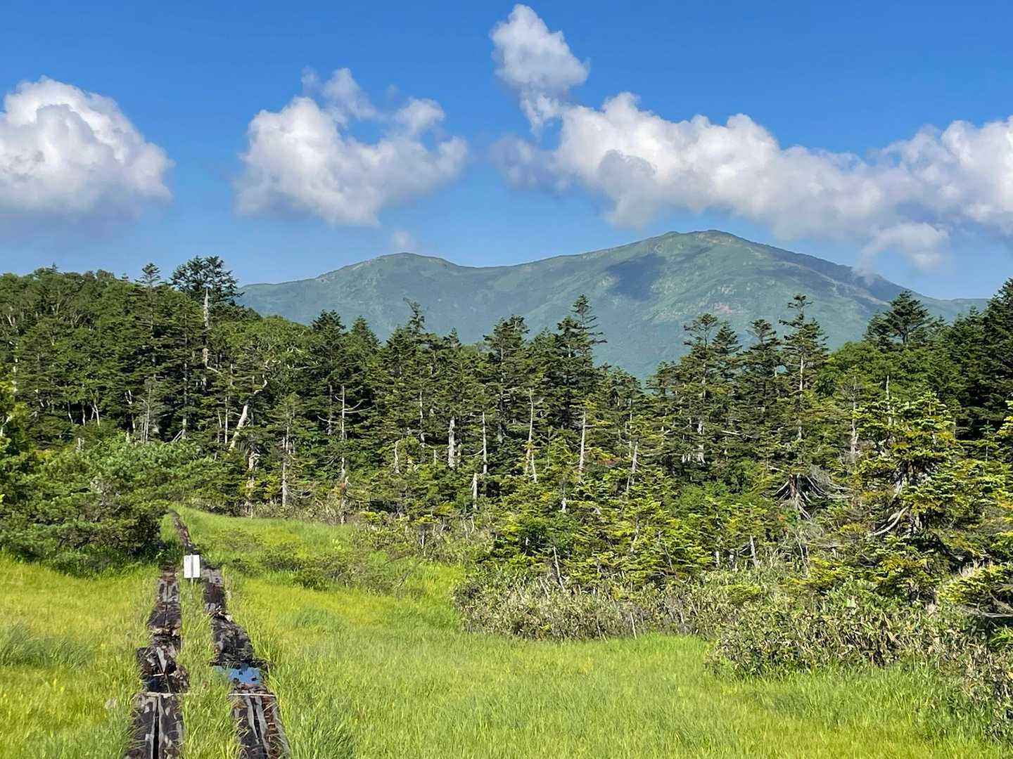 至仏山✨素敵💓💓
夏空にくっきり映える稜線を眺める