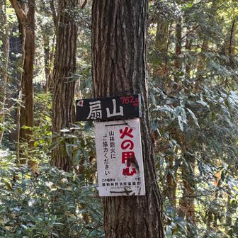 扇山。
眺望なし。
