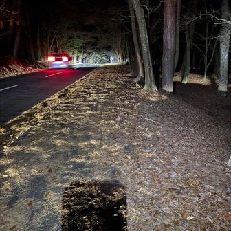 登山口までは舗装路を歩きます
歩道あり