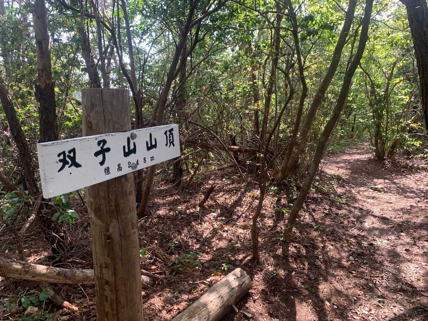 双子山の写真