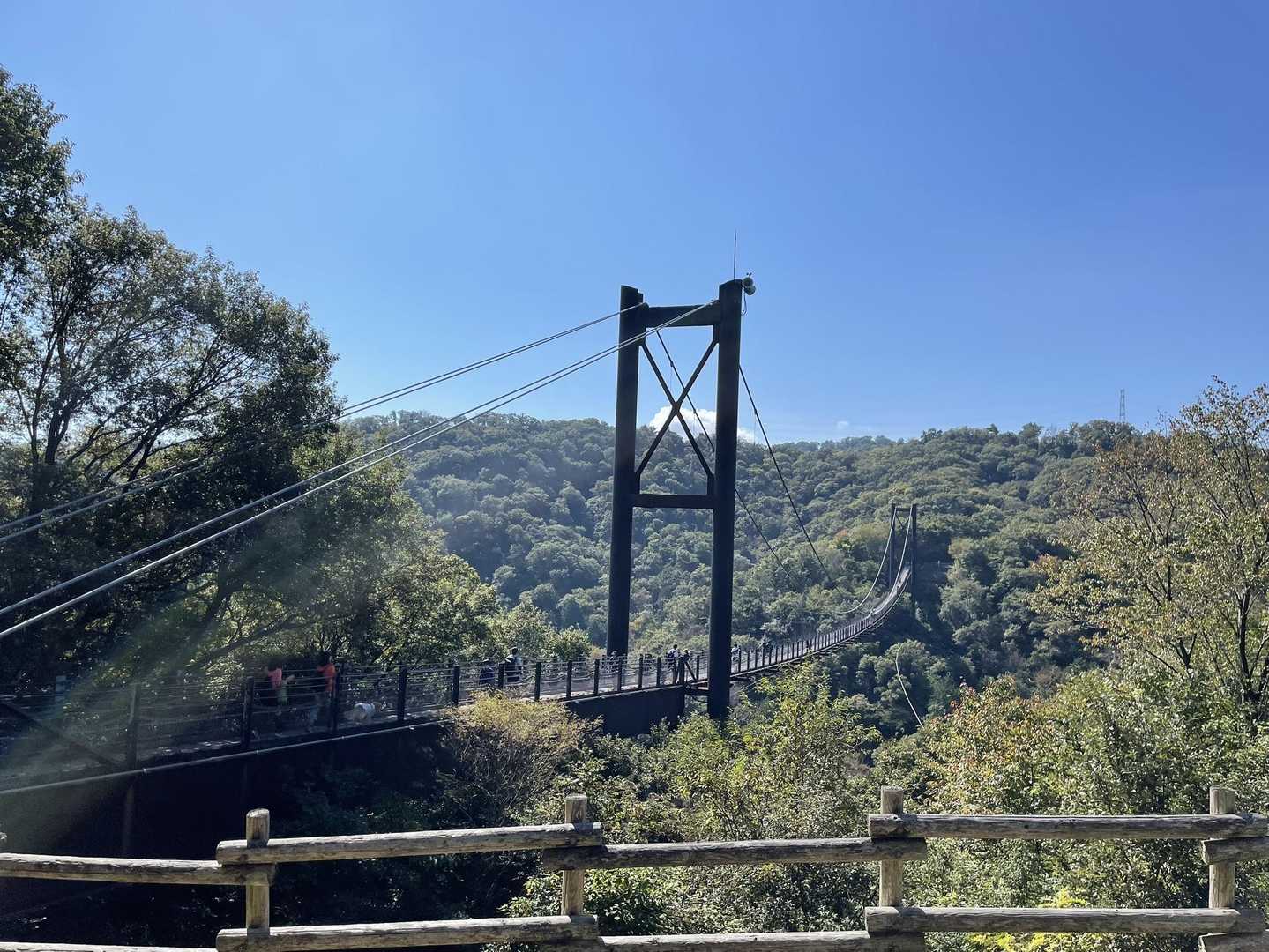 日南山 往復コースの写真