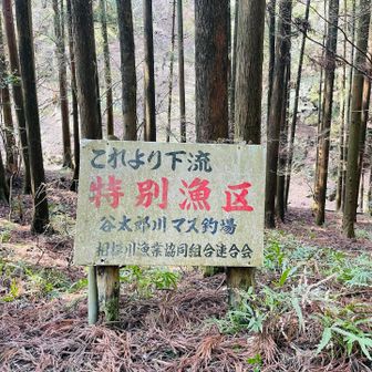 マス釣場を左右に見ながら清川村の道の駅を目指し。