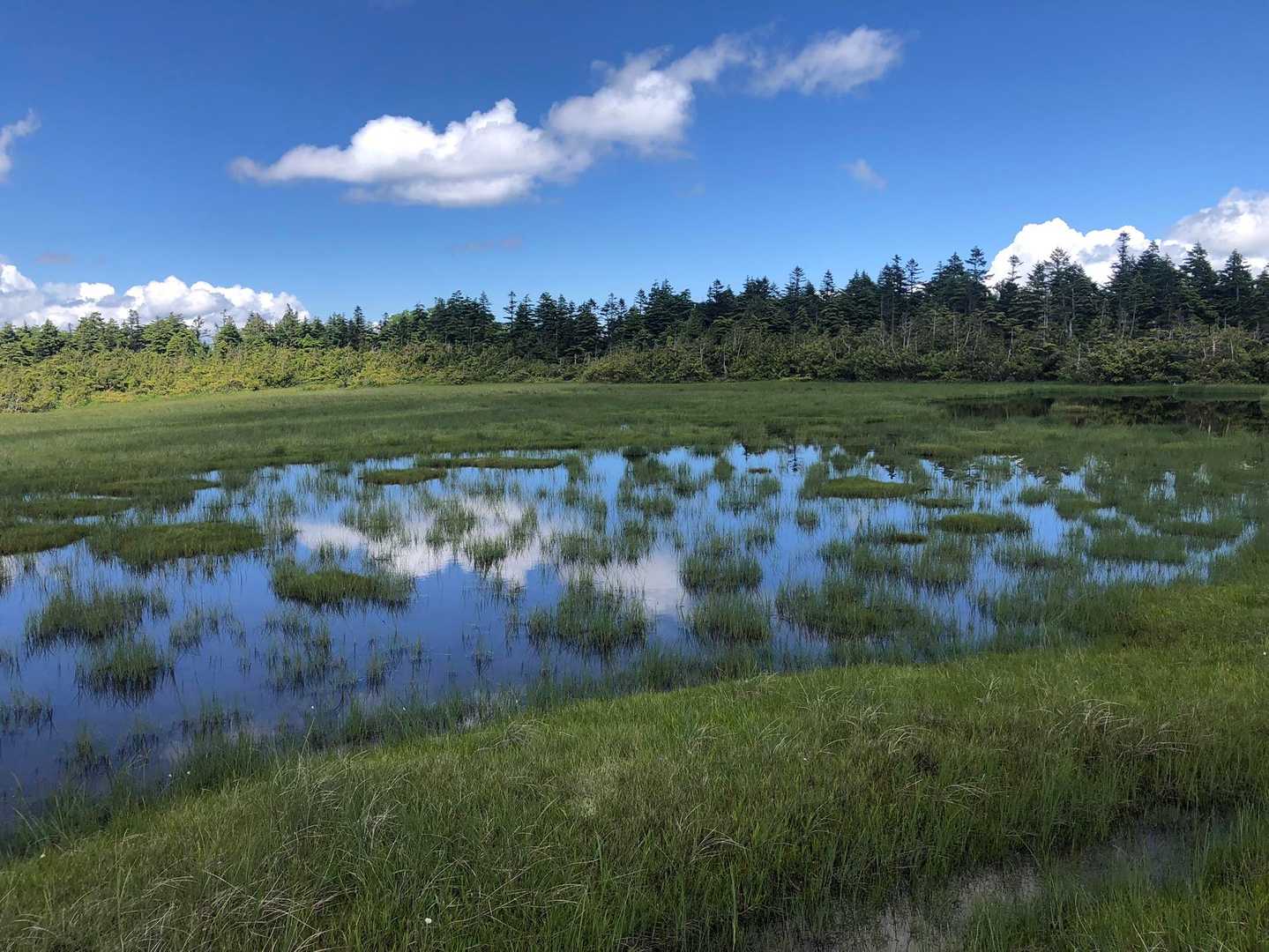 猿倉登山口-田代山 往復コースの写真