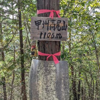 どこかで1160ｍ情報アリ
