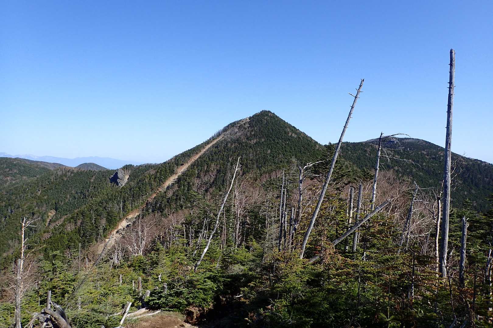 甲武信の全容