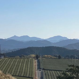 茶畑の向こうに粟ヶ岳
てっぺんの向こうに...