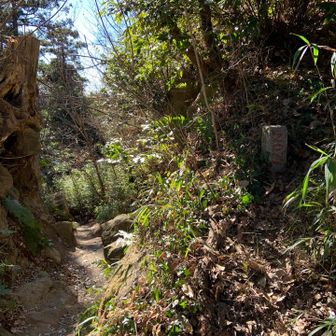 天台山へは、NO.27の石の前を⤴️