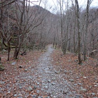 風があり寒いです。
バラクを使いました。