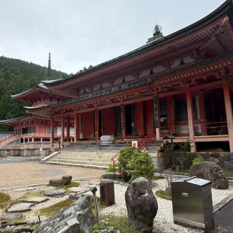 向こう側が東塔、手前が阿弥陀堂🙏
ここで食事休憩🍙、涼しくて気持ち良い👍