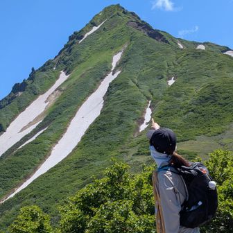 まっすー
