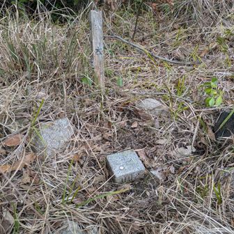 四等三角点
点名は元宇品

301座目