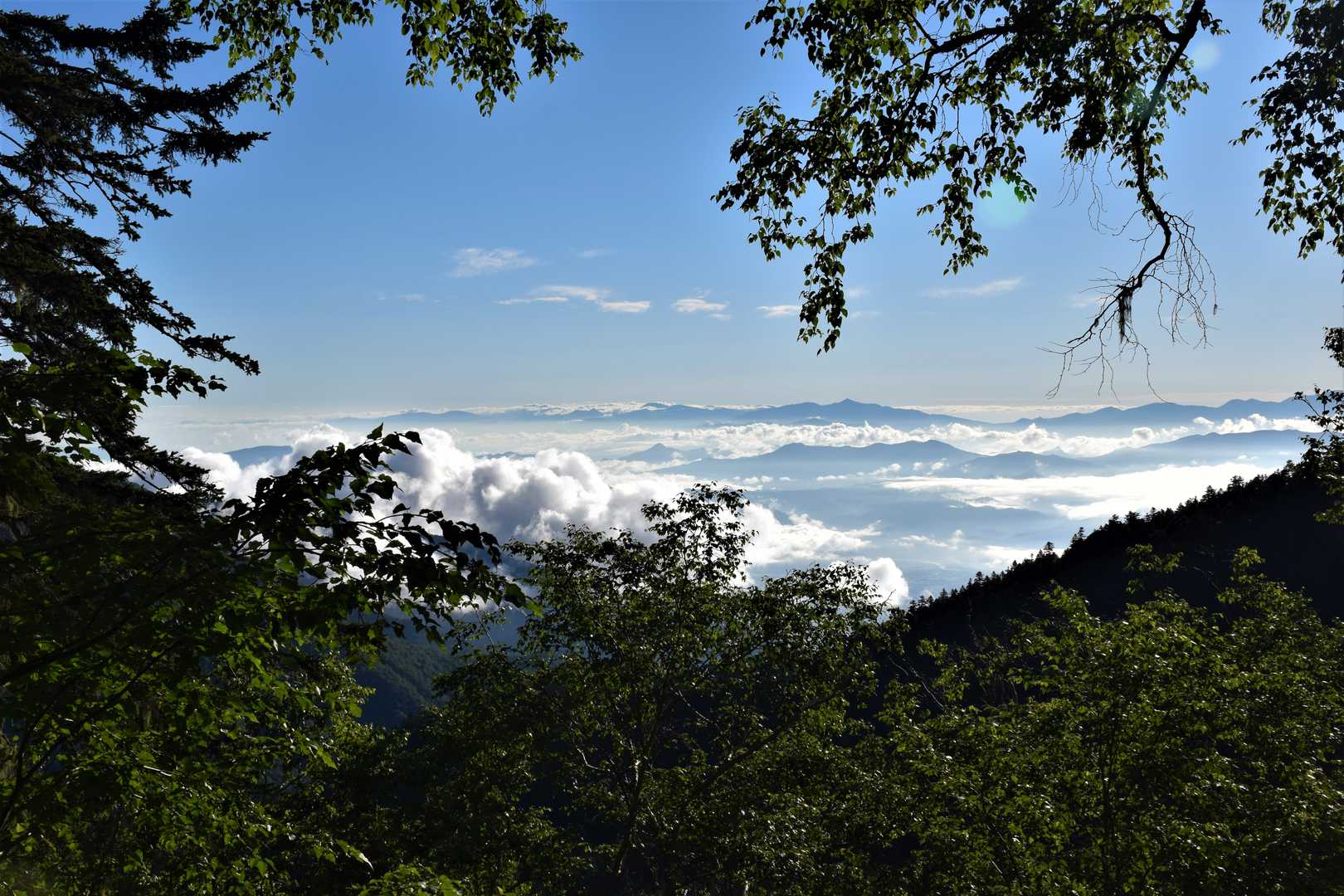 三股登山口-蝶槍 往復コースの写真