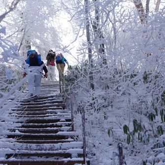 雪の被さり方が微妙で足元に神経を使いました、