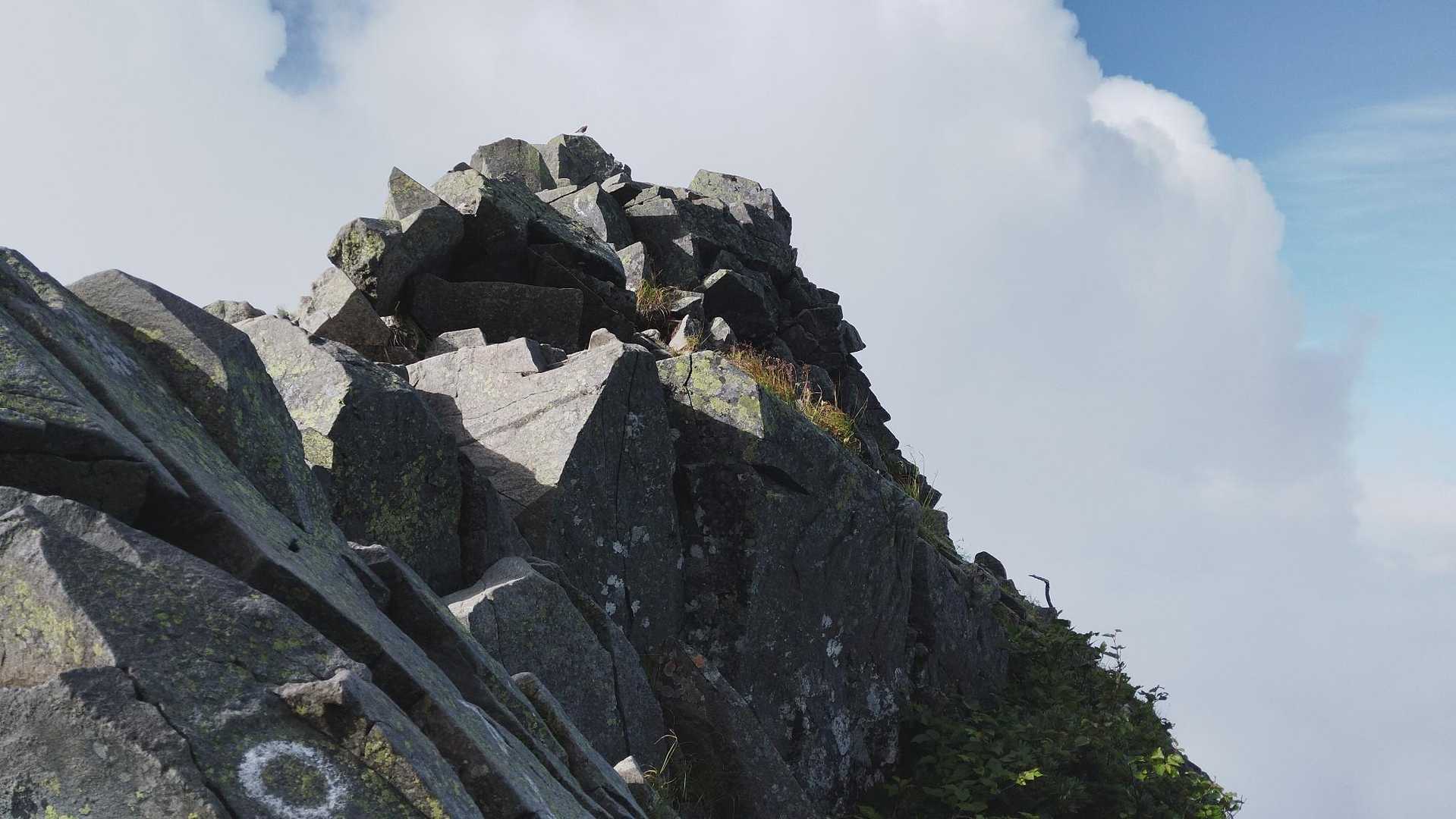 晴れ間と岩！(の上に鳥)