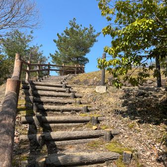 山崎山の頂上に続く階段
曇りだった先日、岐阜からフォロワーのMちゃんが来てくれました(お疲れ様、ありがとう)
今日は青空ですよ〜😀