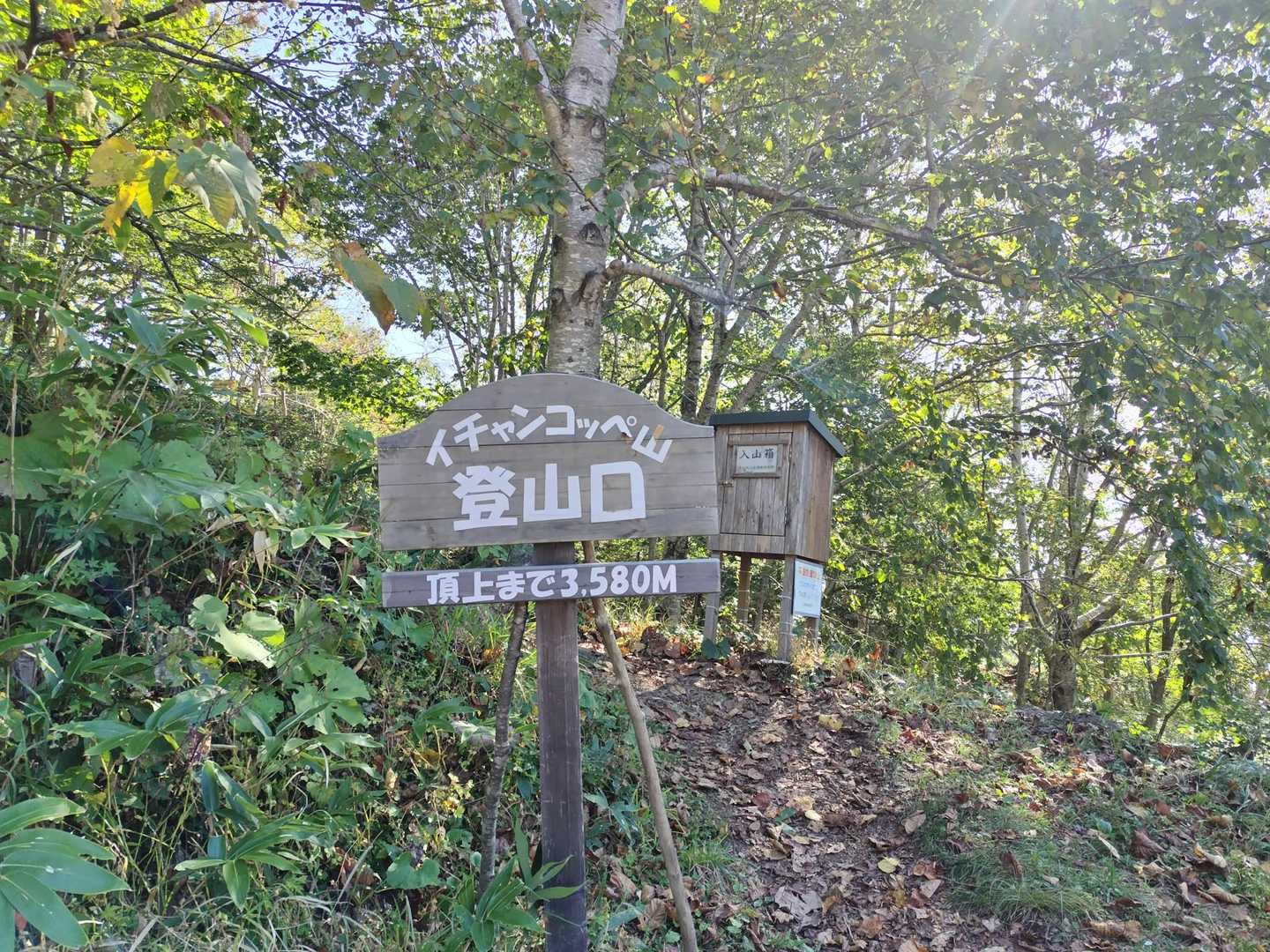 イチャンコッペ山 往復コース | 支笏湖が最も美しく見える展望台への写真