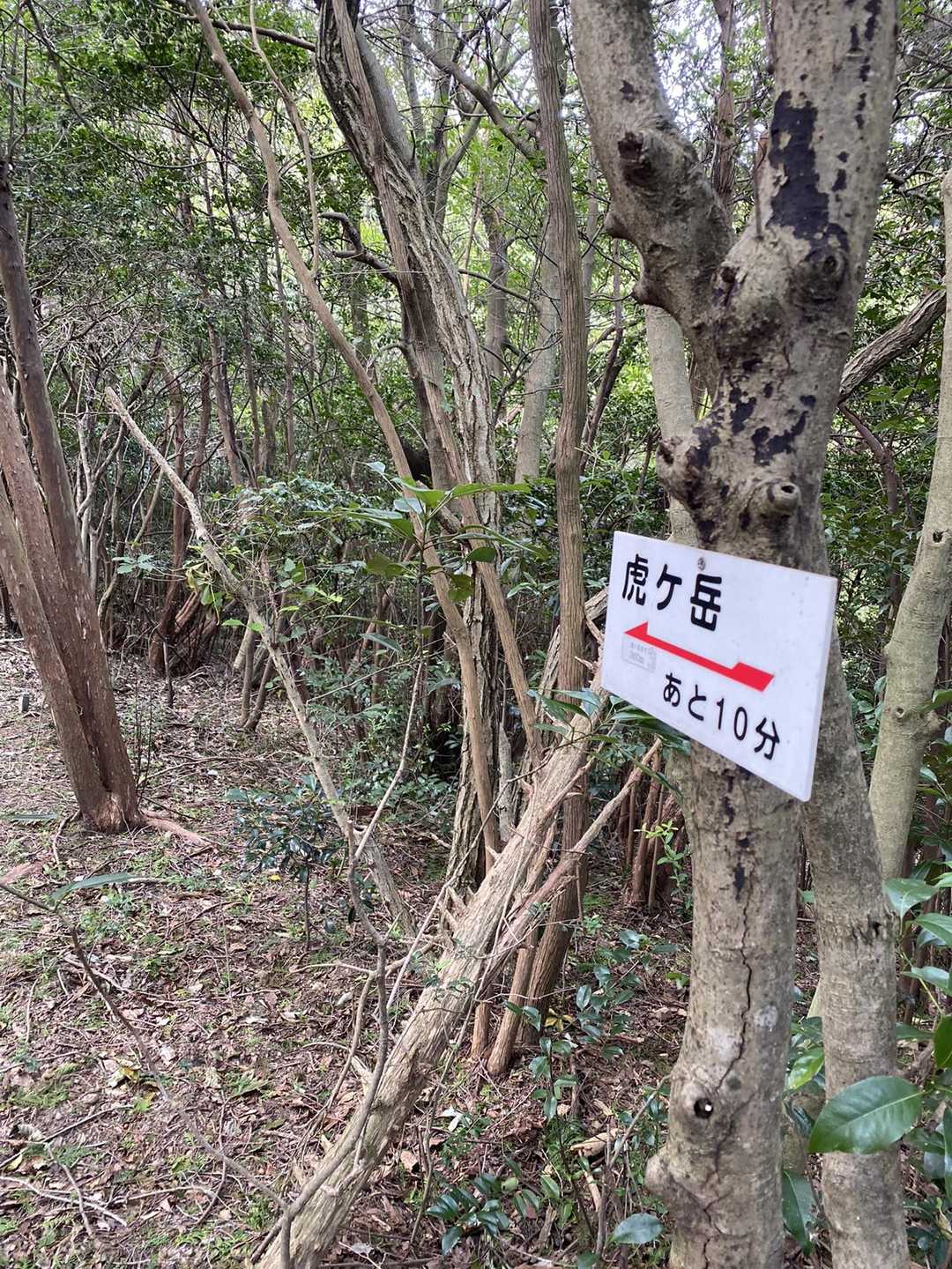 あと10分。
案内表示板が所々にあり、ありがたいです(*ᴗˬᴗ)⁾⁾❤︎