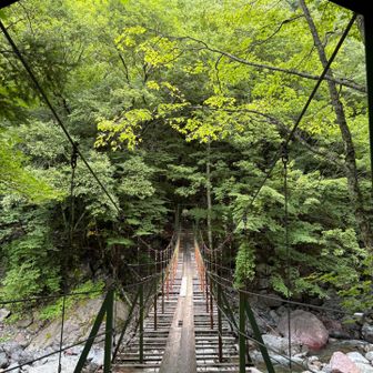 1時間ほど上ると水平移動