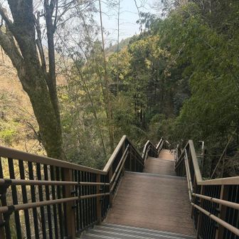 200段以上あった　きた甲斐ある良い滝でした♪