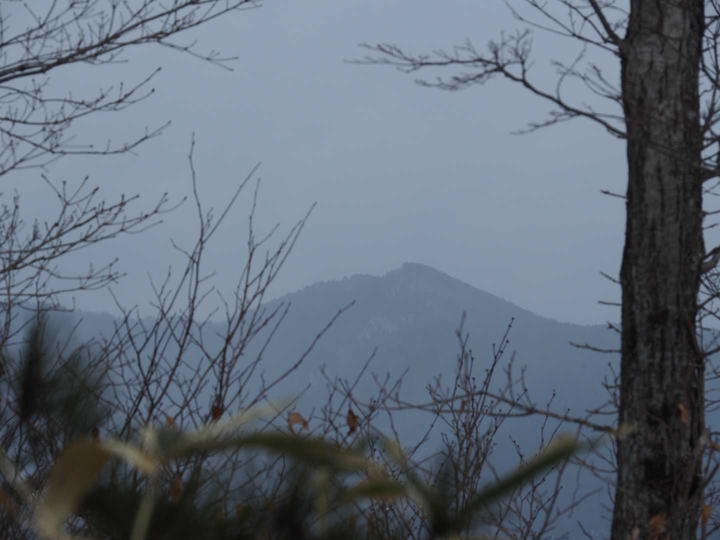 これは…高賀山？