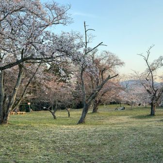 頂上広場はこんな感じ